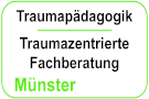 Münster - Traumapädagogik / Traumazentrierte Fachberatung